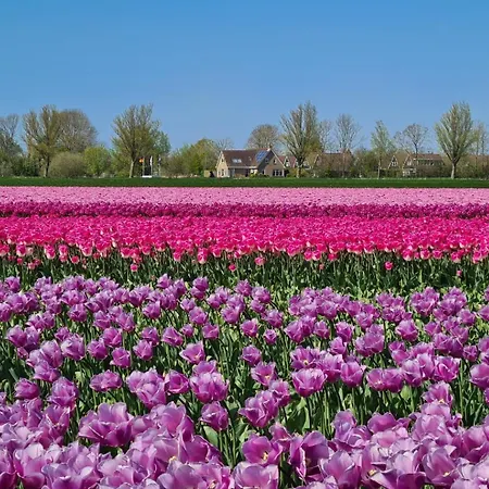 70 Op Recreatiepark De Wielen Villa *