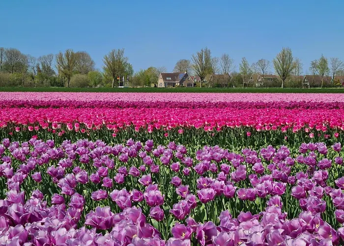 70 Op Recreatiepark De Wielen Вилла *